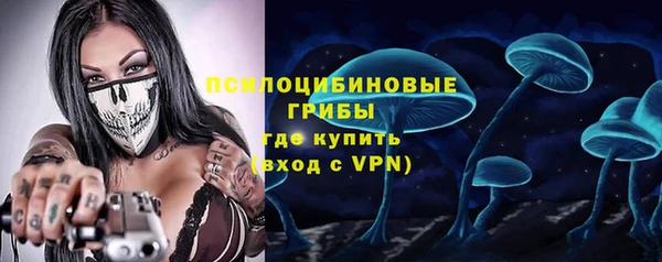 2c-b Богородицк