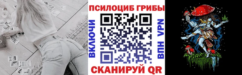 Псилоцибиновые грибы Cubensis  как найти наркотики  Гусев 
